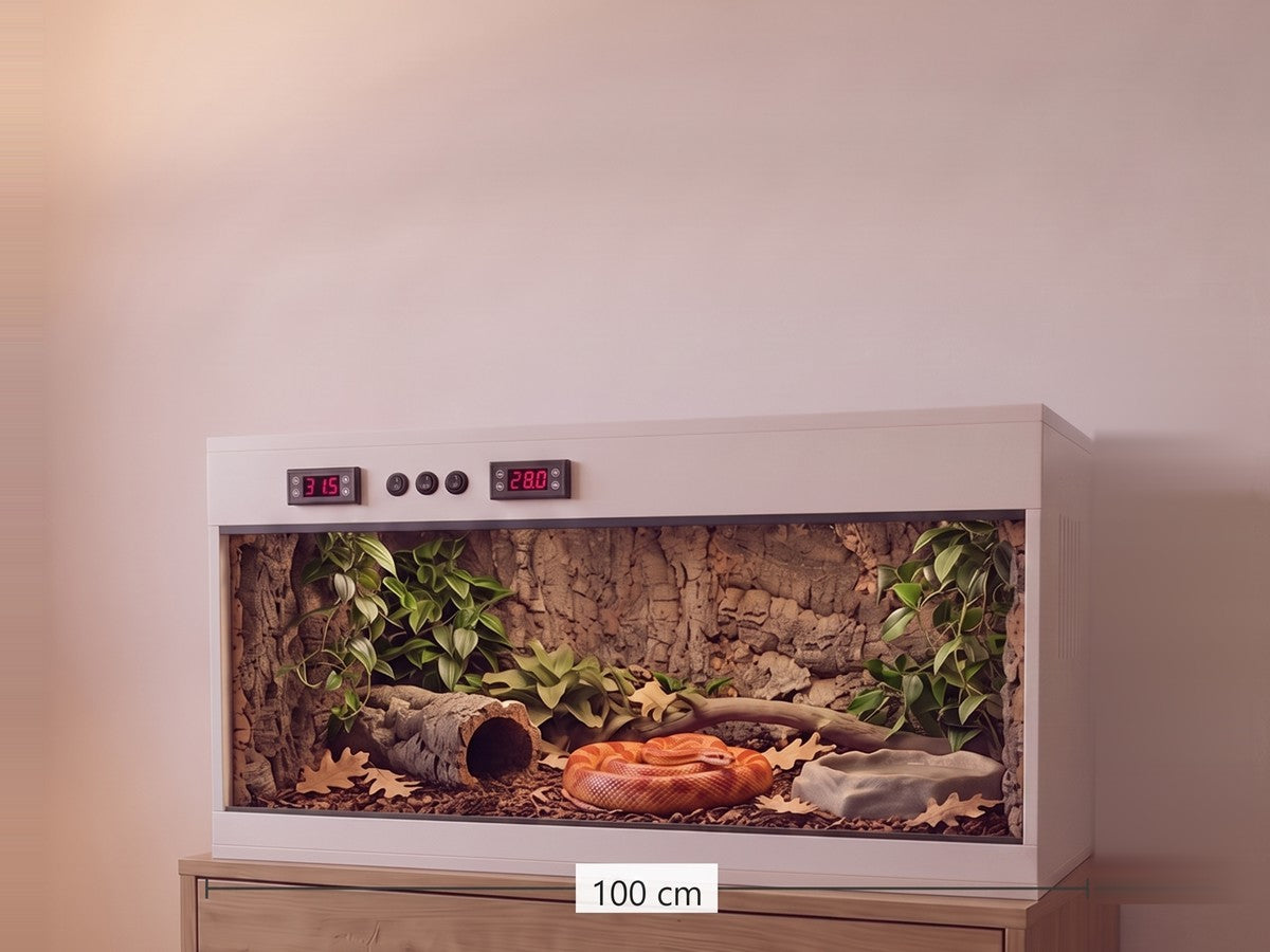 Terrarium PVC 100 × 40 × 40 cm aménagé dans un salon le soir, double thermostat en façade