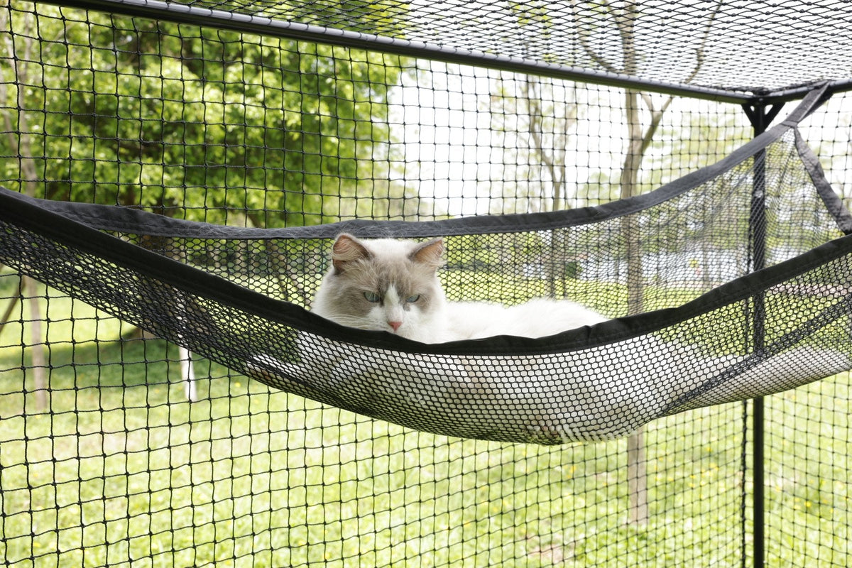 The cat asleep in the hammock inside the enclosure