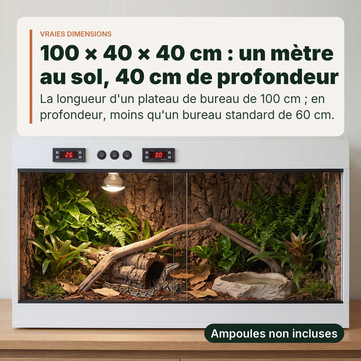 Terrarium PVC blanc 100x40x40 cm aménagé sur un plateau de 100 cm, un python royal juvénile lové à l'intérieur
