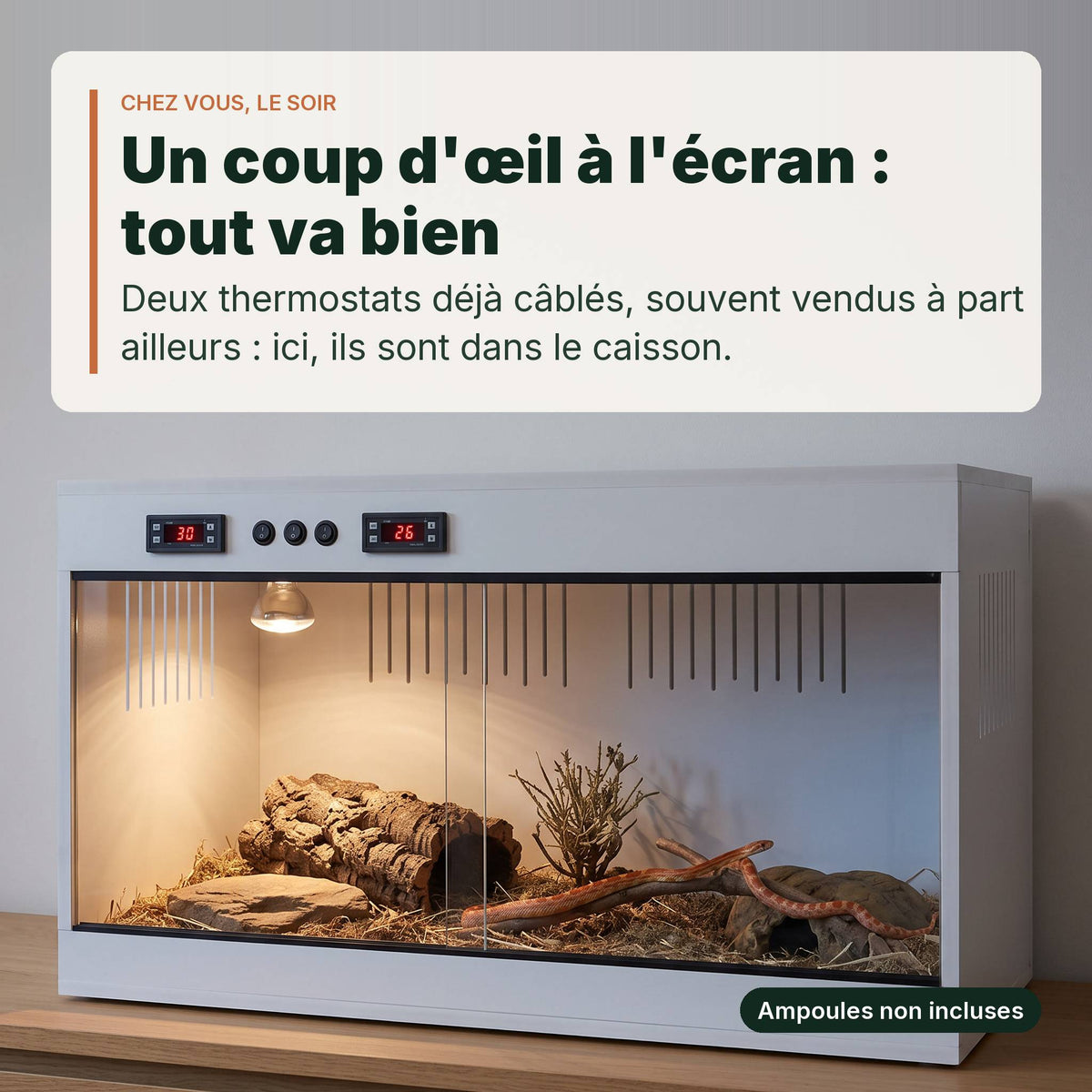 Terrarium PVC blanc 100x40x40 cm aménagé le soir, un serpent des blés adulte à l'intérieur