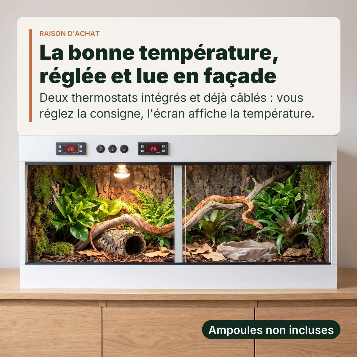 Terrarium PVC blanc 100x40x40 cm aménagé, écrans du double thermostat allumés, un serpent des blés à l'intérieur