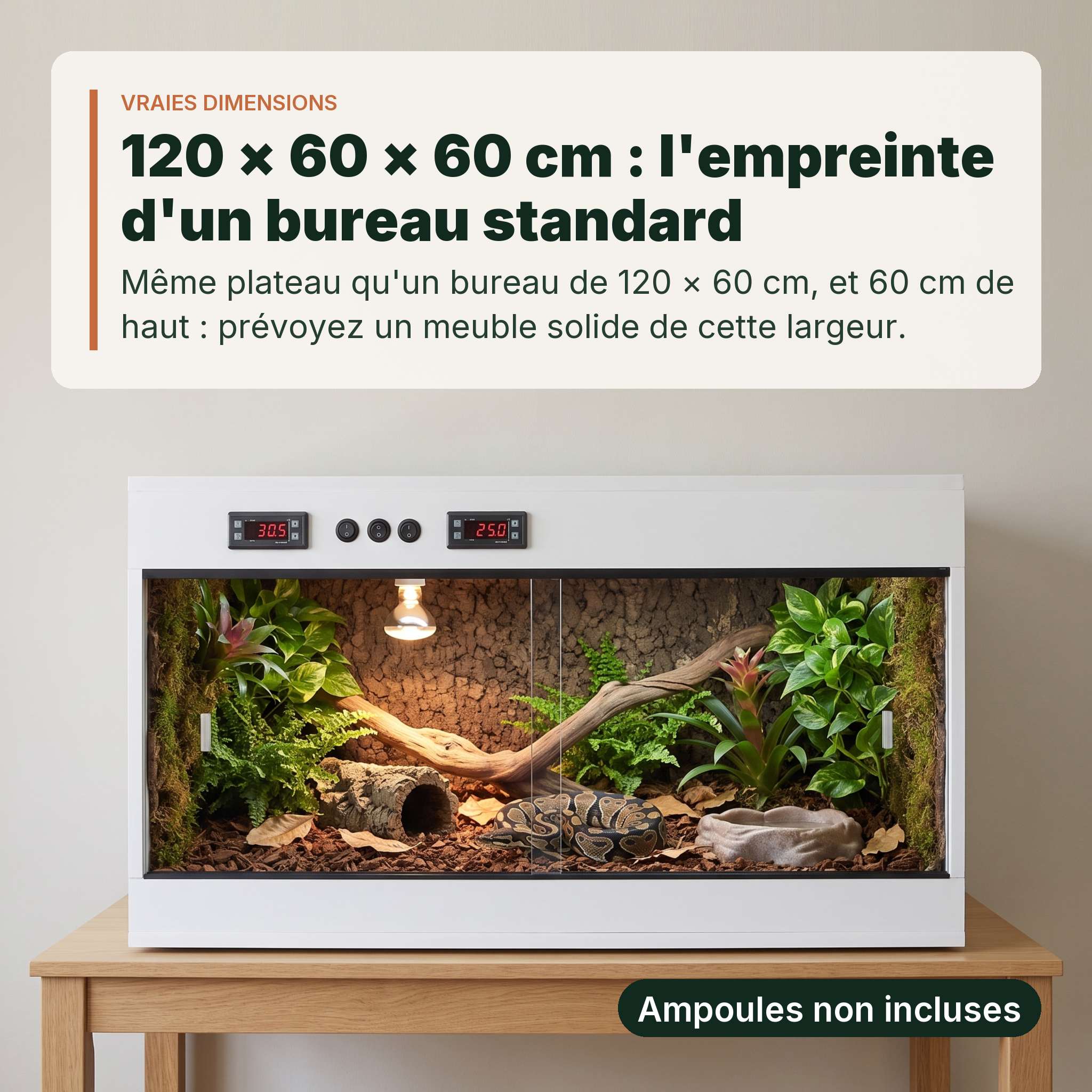Terrarium PVC blanc 120x60x60 cm pose sur un bureau de 120 cm, taille reelle, interieur amenage, un python royal adulte a l'interieur