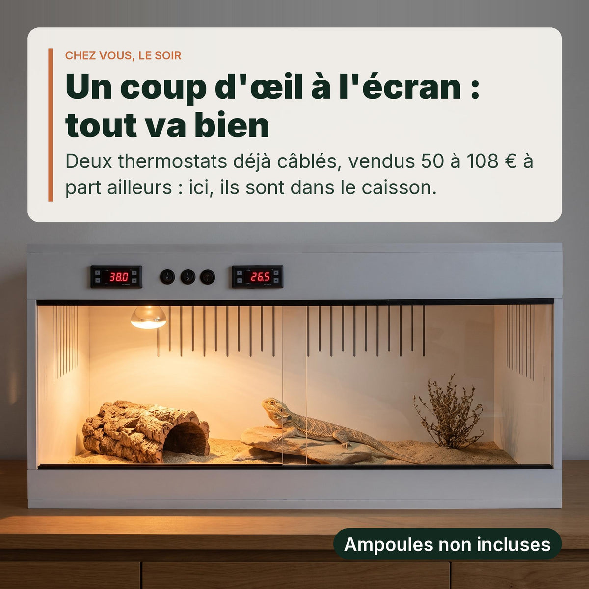 Terrarium PVC blanc 120x60x60 cm aménagé le soir, un pogona adulte à l'intérieur