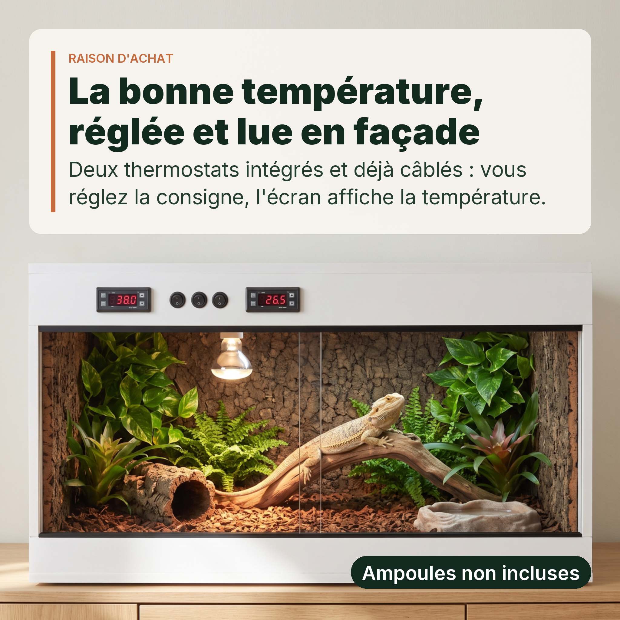 Terrarium PVC blanc 120x60x60 cm sur un buffet, interieur amenage de liege et de plantes, ecrans du double thermostat allumes, un pogona (dragon barbu) adulte a l'interieur