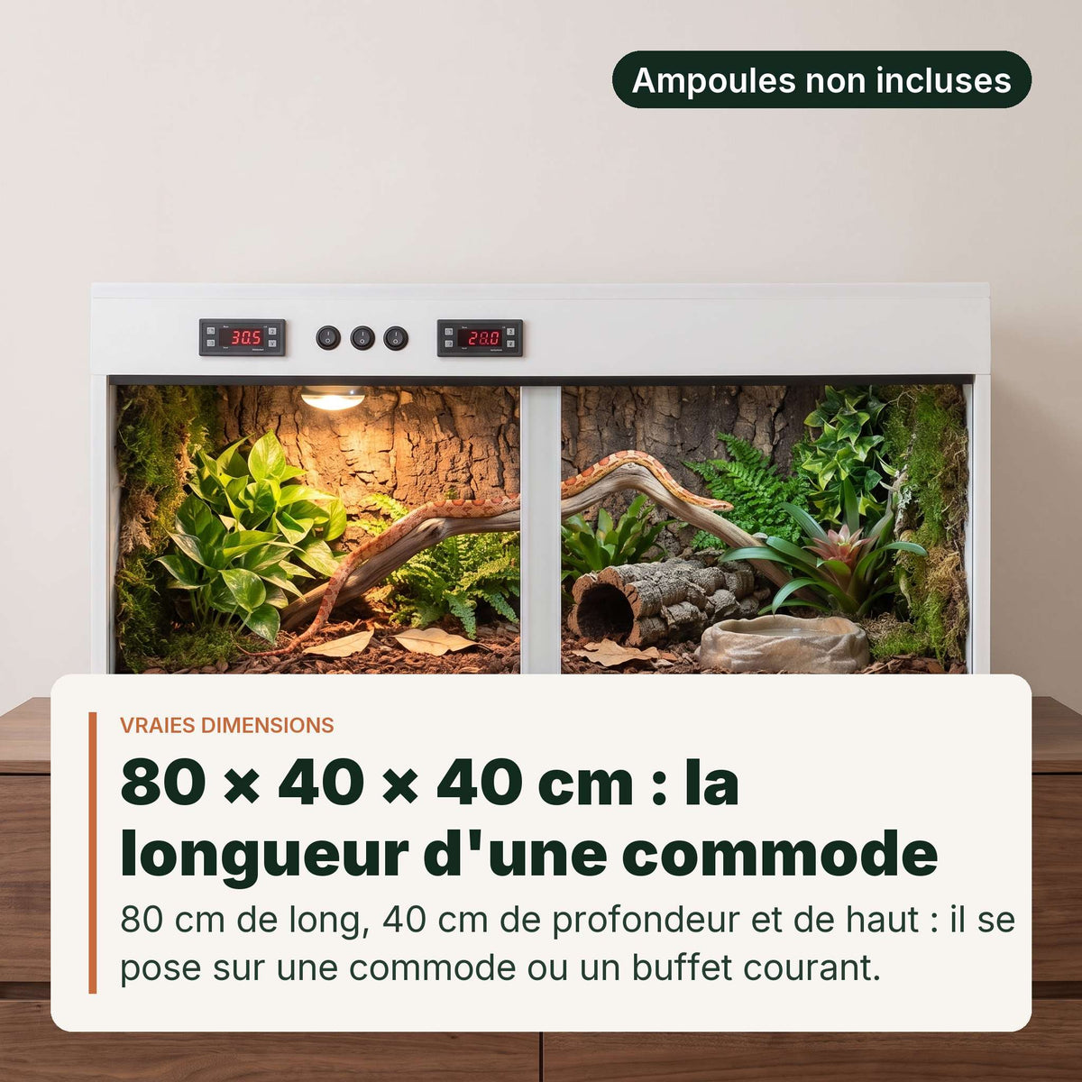 Terrarium PVC blanc 80x40x40 cm entierement amenage pose sur une commode de meme longueur, un serpent des bles juvenile lové sur la branche