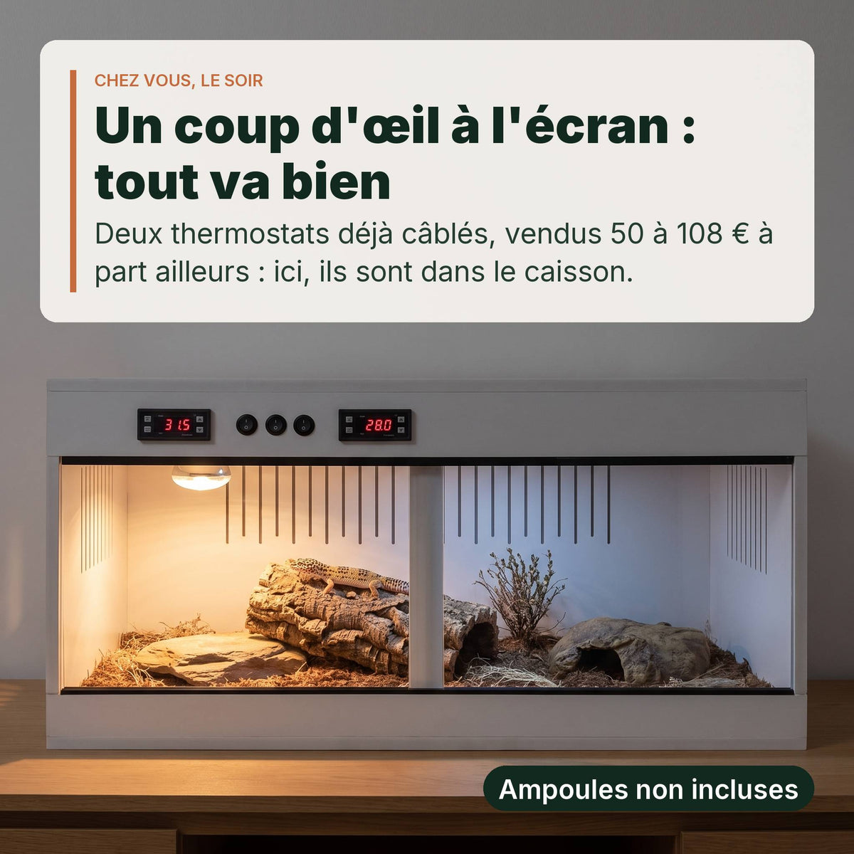 Terrarium PVC blanc 80x40x40 cm aménagé le soir, un gecko léopard à l'intérieur