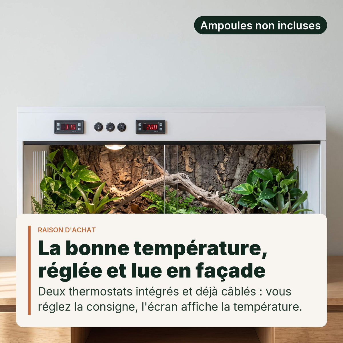 Terrarium PVC blanc 80x40x40 cm sur un buffet, interieur entierement amenage de liege, mousse et plantes, ecrans du double thermostat allumes 31.5 et 28.0, un gecko leopard adulte a l'interieur