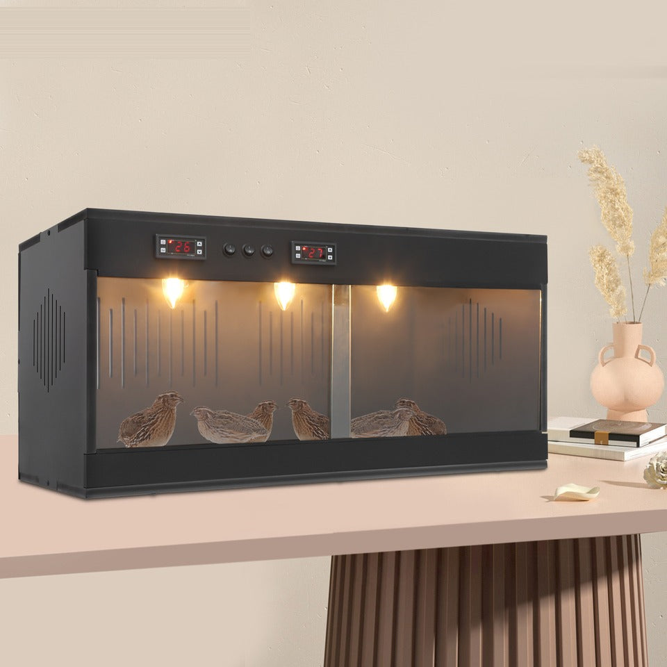 Terrarium noir avec lampes allumées
