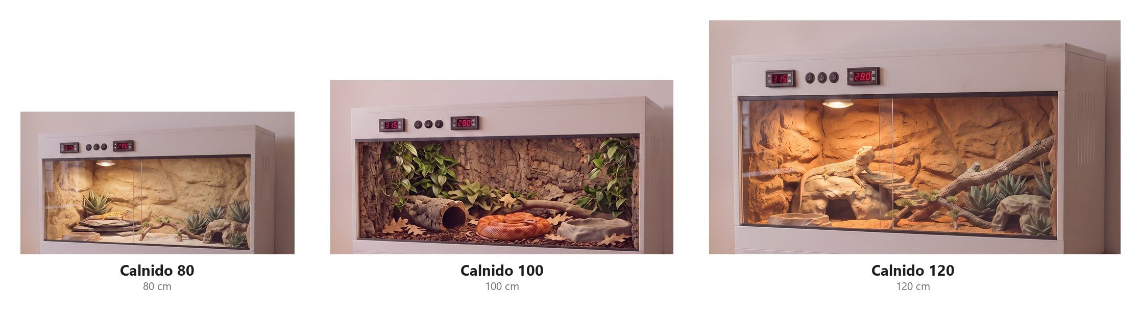 Comparatif des trois formats Calnido : 80 x 40 x 40 cm pour gecko leopard, 100 x 40 x 40 cm pour serpent des bles, 120 x 60 x 60 cm pour pogona