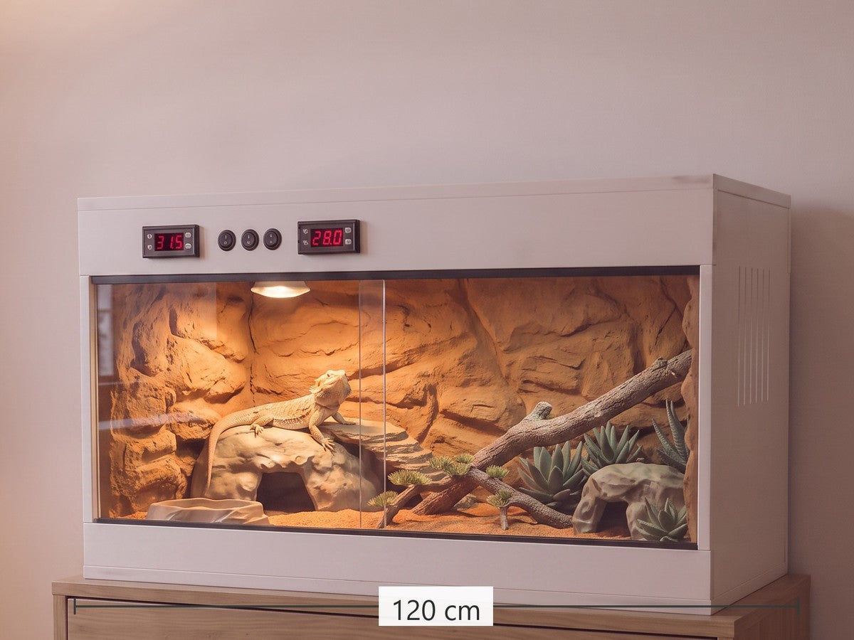 Terrarium PVC 120 × 60 × 60 cm aménagé dans un salon le soir, double thermostat en façade