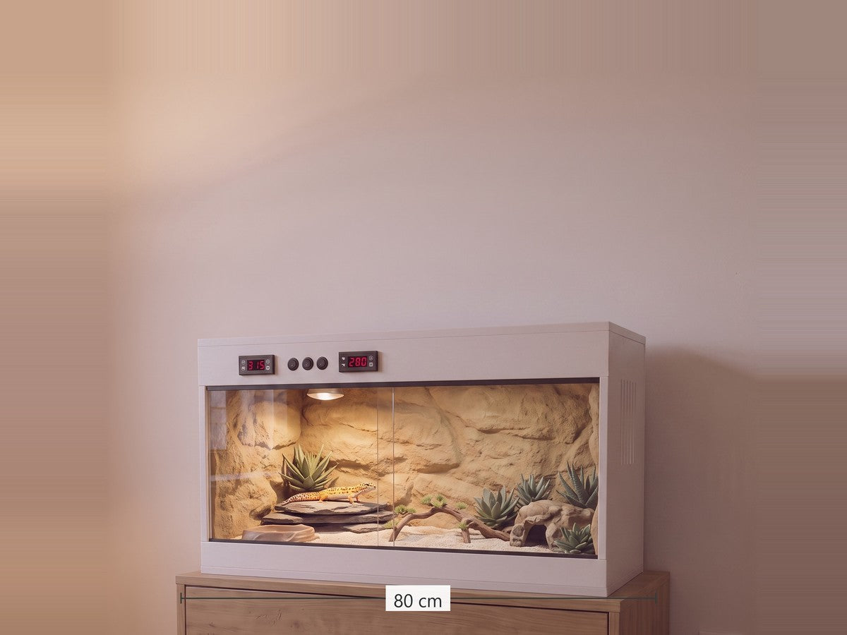 Terrarium PVC 80 × 40 × 40 cm aménagé dans un salon le soir, double thermostat en façade