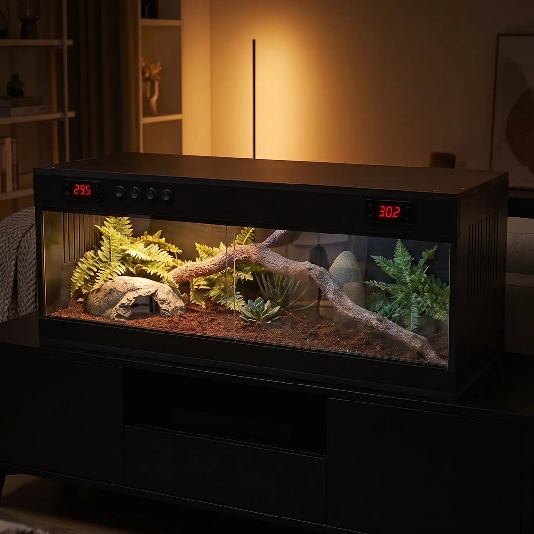 Terrarium noir éclairé le soir dans un salon calme